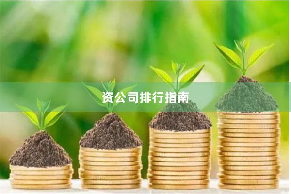 資公司排行指南